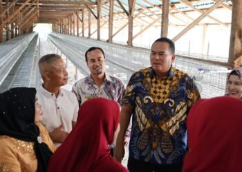 Wali Kota Pariaman Resmikan Peternakan Ayam Petelur UD Jaenab Fresh Farm Eggs