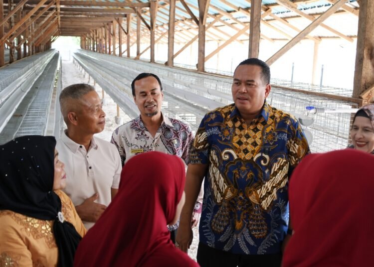Wali Kota Pariaman, Yota Balad, saat meresmikan peternakan ayam petelur UD Jaenab Fresh Farm Eggs di Dusun Rimbo Sitapuang, Desa Rambai, Kecamatan Pariaman Selatan, Kamis (25/9/2025).