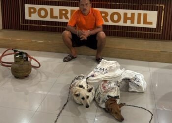 Daging Anjing Dijual Rp100 Ribu per Kilo, Pemilik Warung Makan Ditahan Polisi