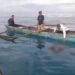 Nelayan Hilang di Perairan Mentawai, Tim SAR Lanjutkan Pencarian