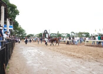 50 Ribu Penonton Padati IHRC II 2025 di Payakumbuh, Pordasi Usulkan Arena Pacu Internasional