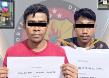 Dua Pria di Payakumbuh Diciduk Polisi, Ganja 250 Gram Disita