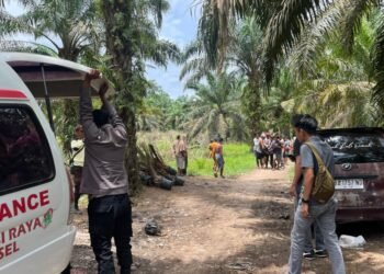 Tenggelam di Sungai, Pelangsir Sawit di Pesisir Selatan Meninggal Dunia
