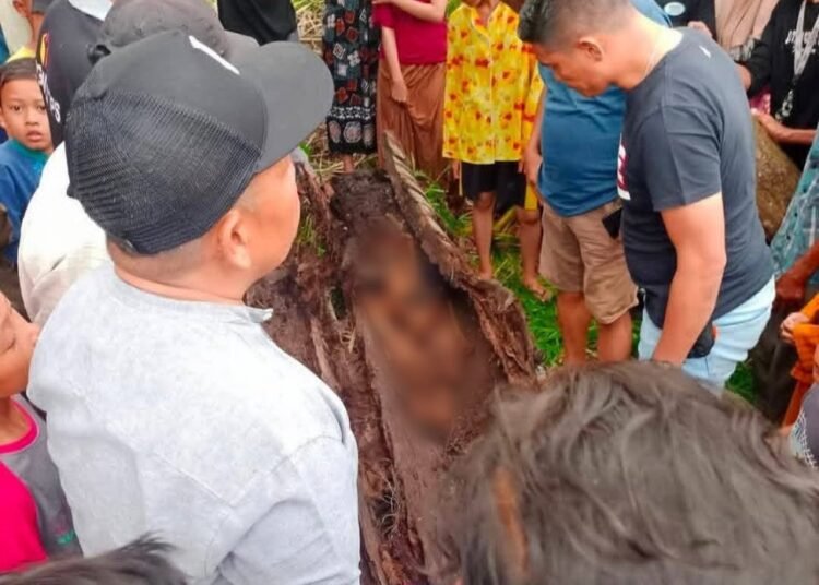 Warga di Dusun I Desa Pematang Ganjang, Kecamatan Sei Rampah, Kabupaten Serdang Bedagai (Sergai), Sumatera Utara, temukan kerangka manusia di dalam pohon aren. Foto: Ist