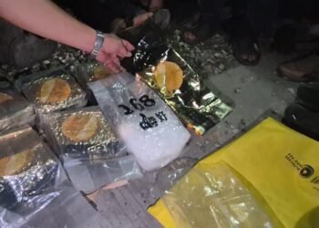 BNNP Sumbar Sita 50 Kg Ganja di Pasaman dan 8 Kg Sabu-Sabu di Padang