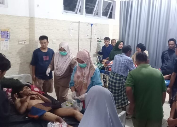 Dua warga diserang harimau di Bukit Batuang Gadang, Jorong Sungai Rambutan, Nagari Persiapan Batang Lolo, Kecamatan Koto Parik Gadang Diateh (KPGD), Solok Selatan, pada Selasa (16/9) sekitar pukul 16.30 WIB. Foto: Polsek KPGD