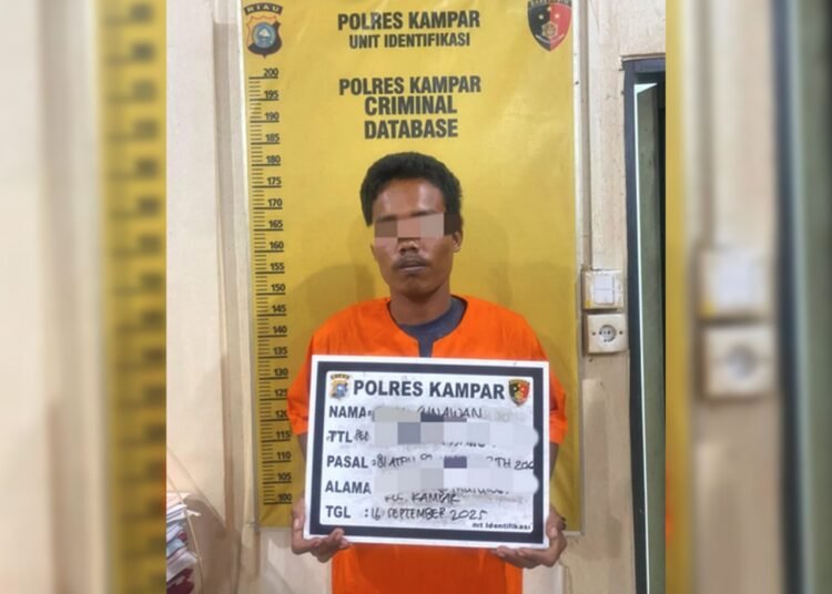 Pelaku terduga pencabulan ditangkap polisi di jalan Lintas Bangkinang-Pekanbaru, pada Selasa (16/9/2025).