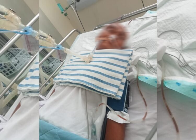 Nenek berinisial RD, dianiaya hingga kritis saat membela cucunya yang menjadi korban pencabulan.