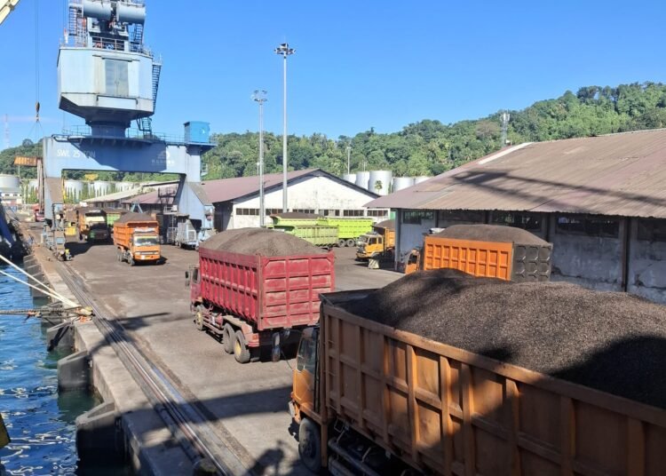 Truk-truk pengangkut cangkang sawit memasuki Pelabuhan Teluk Bayur, Padang, baru-baru ini. Foto: Balai Karantina Sumbar
