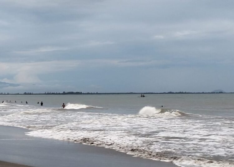Sejumlah orang mencari siswa SMP yang tenggelam di Pantai Sasak, Nagari Ranah Pesisir, Kecamatan Sasak Ranah Pesisir, Pasaman Barat, pada Senin (29/9) sore. Foto: BPBD Pasaman Barat
