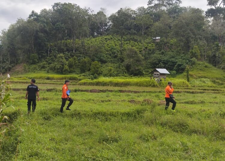 Tim gabungan melakukan pencarian petani bernama Dodi (44), diduga hanyut di aliran sungai Kampung Koto Pulai, Nagari Kambang Timur, Kecamatan Lengayang, Kabupaten Pesisir Selatan, pada Minggu (28/9/2025).  Foto: Basarnas Padang