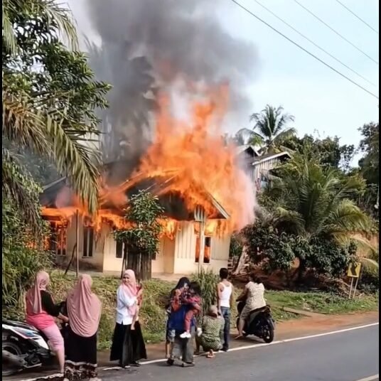 Kebakaran di Nagari Lunang Tengah, Kecamatan Lunang, Kabupaten Pesisir Selatan, Rabu (17/9/2025).
