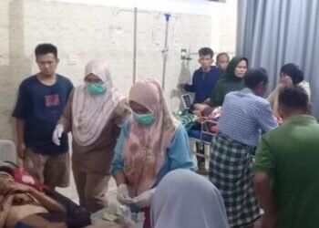 Harimau Serang Ayah dan Anak di Solok Selatan, Warga Diimbau Waspada Area Perkebunan