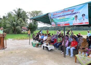 Wali Kota Pariaman Apresiasi Gerakan Pengendalian Hama Wereng di Desa Sungai Pasak