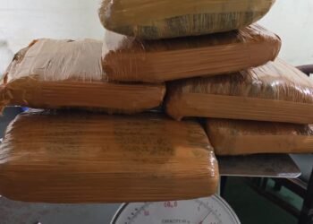 Petugas Bandara Minangkabau Temukan 7 Kilogram Ganja di Kiriman Kargo