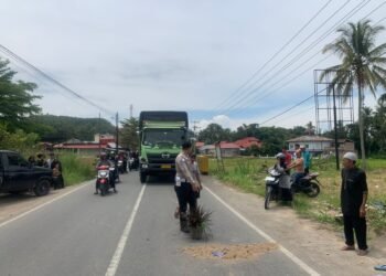 Tabrakan Pikap dan Motor di Payakumbuh, Satu Pengendara Tewas