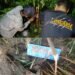 Keluarga yang Terjebak di Lokasi Kemunculan Harimau di Agam Dievakuasi