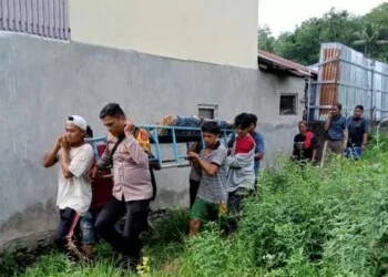 Seorang Perempuan di Tanah Datar Tewas Ditimpa Pohon