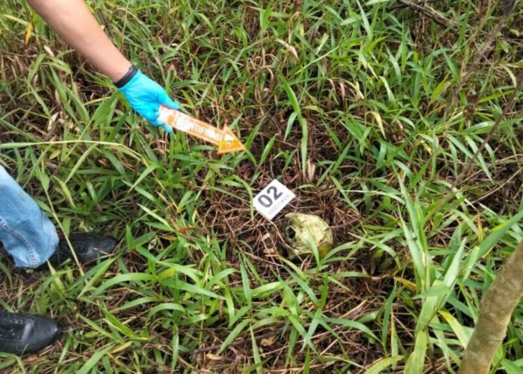 Polisi mengevakuasi sebuah tengkorak manusia di ladang milik warga di Koto Alah, Jorong Tabek Sarojo, Nagari Guguak Tabek Sarojo, Kecamatan IV Koto, Agam, Pada Jumat (3/10) pagi. Foto: Polresta Bukittinggi