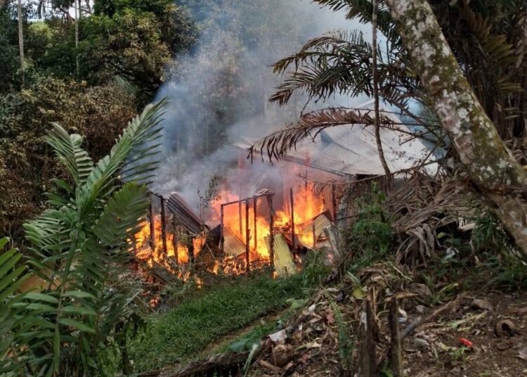 Kebakaran di Padang Maran, Nagari Tigo Koto Silungkang, Kecamatan Palembayan. Foto: Tangkapan layar media sisial.