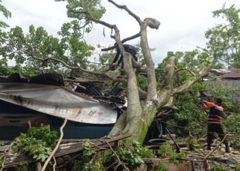 Pohon Tumbang di Padang Timpa Bengkel, Kerugian 5 Juta