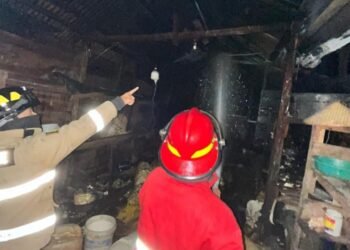 Satu Dapur Sanjai di Limapuluh Kota Habis Terbakar