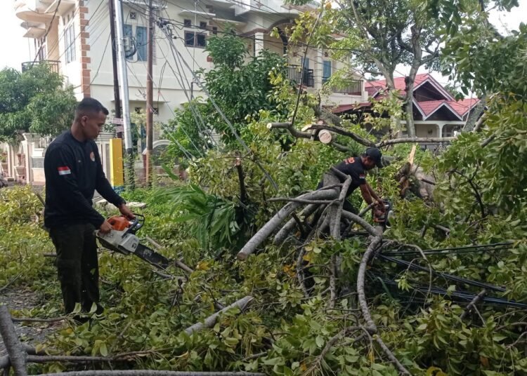 Pohon kedondong tumbang di Jalan Beringin 3, RT 004, RW 003, Kelurahan Lolong Belanti, Kecamatan Padang, pada Jumat (24/10/2025) pagi menimpa kabel listrik dan jaringan komunikasi. Foto: BPBD Padang