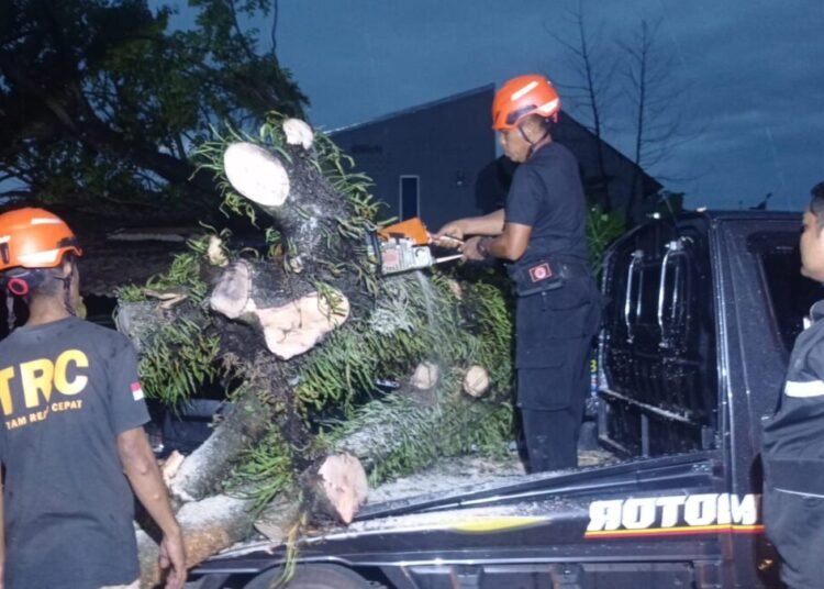 Petugas BPBD Kota Padang menggergaji pohon yang menimpa rumah dan dua mobil Kompleks Perumahan Unand Blok D, RT 03, RW 09, Kelurahan Bandar Buat, Kecamatan Lubuk Kilangan, pada Jumat (24/10) sore. Foto: BPBD Padang