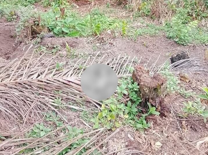 Jasad bayi laki-laki ditemukan dalam kantong plastik di Sungai Pinang Kecamatang Tambang, Kampar, Senin (27/10/2025). Foto: IST