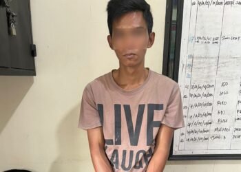 Peredaran Ganja di Limapuluh Kota Terbongkar, Satu Orang Ditangkap