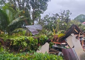 Hujan Disertai Badai Terjang Padang, Pohon Tumbang Timpa Rumah dan Mobil