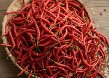 Meroket, Harga Cabai Merah Keriting di Sumbar Nomor Empat Termahal se-Indonesia