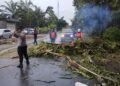 Kecelakaan Akibat Pohon Tumbang di Agam, Satu Korban Tewas Dua Luka Berat