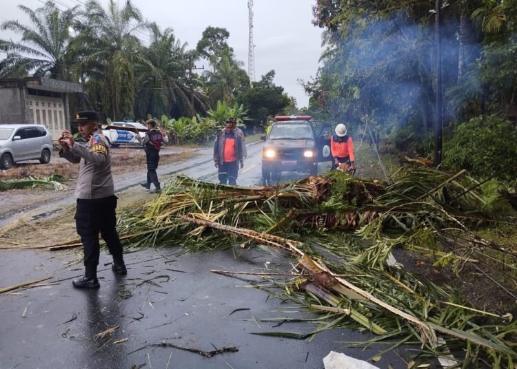 Petugas mengevakuasi pohon tumbang di jalan raya kawasan Padang Cakua, Jorong Bawan Tuo, Nagari Bawan, Kecamatan Ampek Nagari, Kabupaten Agam, Jumat (21/11/2025).