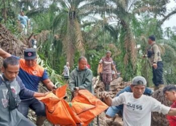 Delapan Warga Padang Meninggal Akibat Banjir, Ribuan Mengungsi