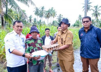 Pemko Pariaman Salurkan Bantuan untuk Warga Terdampak Banjir di Rambai dan Punggung Ladiang