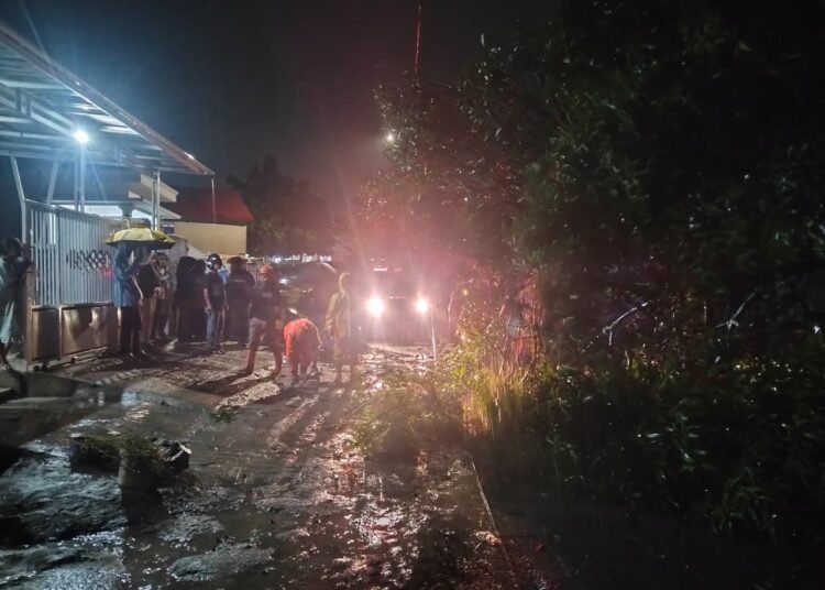Hujan deras disertai angin kencang menyebabkan pohon tumbang di Nanggalo Kota Padang pada Selasa malam (12/11/2025).