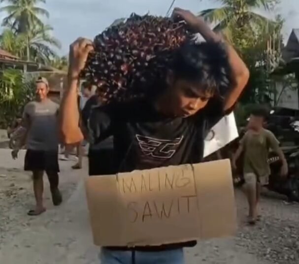 Seorang pria berjalan di jalanan sambil membawa tandan sawit dan mengenakan kalung karton bertuliskan maling sawit. Foto: Tangkapan layar media sosial