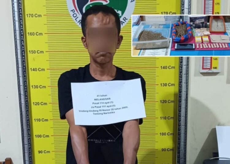 Polisi menangkap pengedar ganja di Jorong Kampuang Tangah, Nagari Buo, Kecamatan Lintau Buo, Tanah Datar, pada Kamis (6/11) sekitar pukul 20.00 WIB. Foto: Polres Tanah Datar