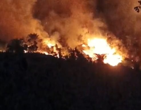 Kebakaran hebat melanda area perkebunan gambir di Gunung Melintang, Kecamatan Pangkalan, tepatnya di kawasan PT Perkebunan Nusantara (PTPN), Limapuluh Kota, pada Senin (10/11/2025) sore.