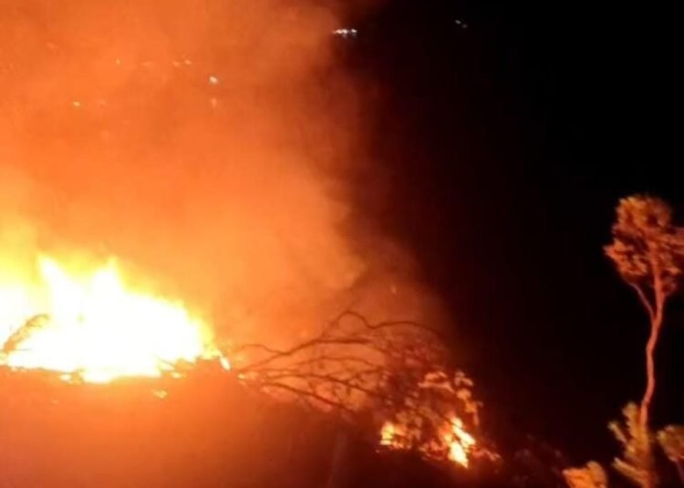 Kebakaran hutan dan lahan (Karhutla) terjadi dekat kawasan objek wisata Mandeh, tepatnya di Nagari Sungai Nyalo Mudiak Aia, Kecamatan Koto XI Tarusan, Kabupaten Pesisir Selatan, pada Jumat (14/11/2025) malam. Foto: Satpol PP dan Damkar Kabupaten Pesisir Selatan