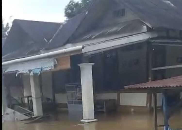 Banjir melanda 23 nagari di Kecamatan Koto XI Tarusan, Kabupaten Pesisir Selatan, hingga Senin (24/11/2025) siang.