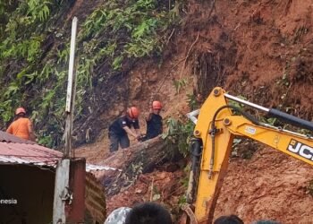 Hujan Disertai Angin Kencang, Dua Pohon Tumbang Tutup Akses Jalan di Padang