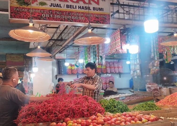 Pedagang cabai merah di Pasar Raya Padang. Foto: Qadri/Sumbarkita