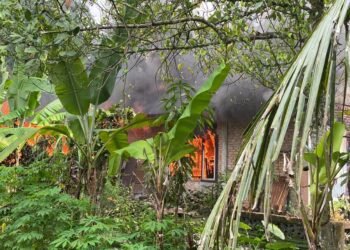 Rumah di Padang Pariaman Terbakar Gegara Lalai Saat Memasak, Kerugian Capai Rp400 Juta