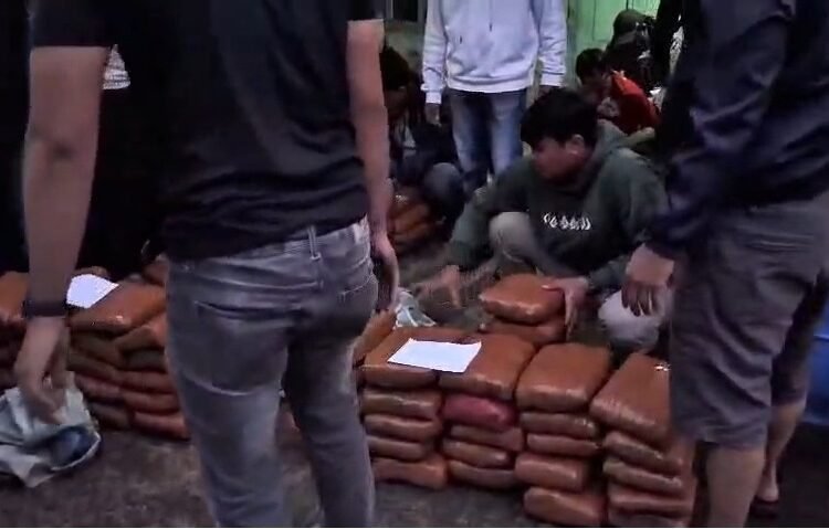 Badan Narkotika Nasional Provinsi (BNNP) Sumatera Barat mengamankan barang bukti 100 paket Ganja saat menangkap tiga pria di Jalan Bukittinggi–Medan, di Jorong Batang Palupuh, Nagari Koto Rantang, Kecamatan Palupuh, Kabupaten Agam, Rabu (17/12/2025). Foto: tangkapan layar video penangkapan