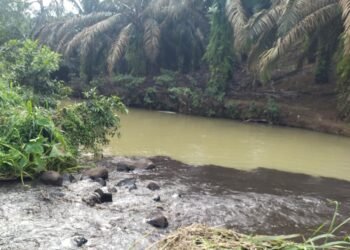Limbah PT TKA Diduga Cemari Sungai di Dharmasraya, Hasil Uji DLH Lampaui Baku Mutu