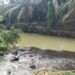 Limbah PT TKA Diduga Cemari Sungai di Dharmasraya, Hasil Uji DLH Lampaui Baku Mutu