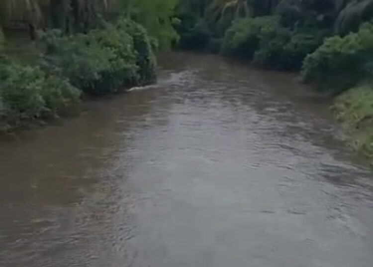 Air Sungai Batang Suir, Asam Jujuhan, di Dharmasraya yang sebelumnya jernih berubah menjadi hitam kecokelatan pada Rabu (17/12/2025). Foto: Ist