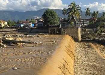 Bendungan Jebol Akibat Banjir, 2.912 Hektare Sawah di Padang Terancam Kekeringan